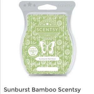 Scentsy February 2022 Scent of the month wax bar